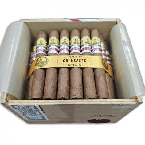 Lot 578 - Bolivar Colosales 