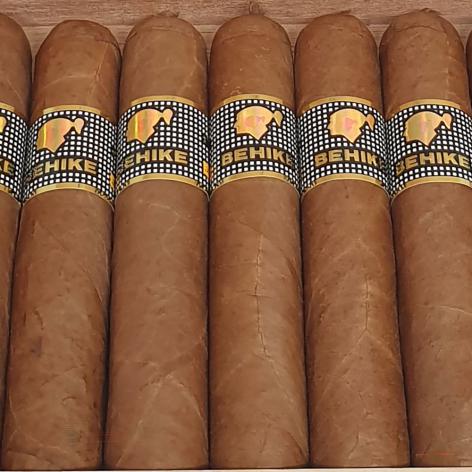Lot 58 - Cohiba Behike 52