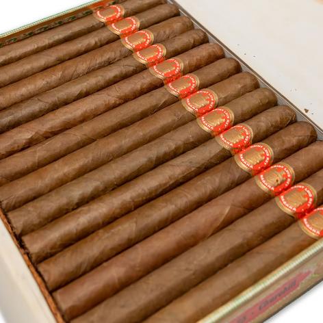 Lot 593 - Saint Luis Rey Churchills