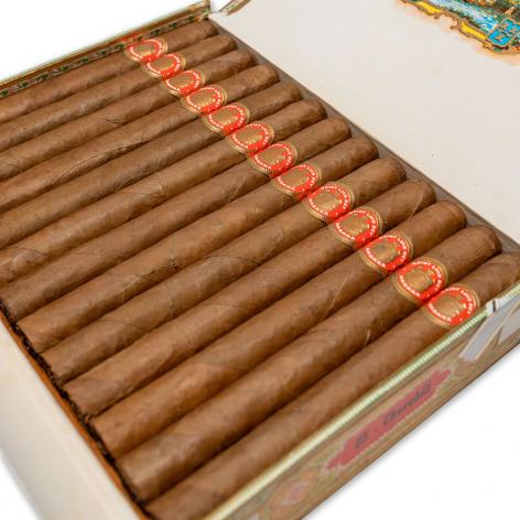Lot 594 - Saint Luis Rey Churchills