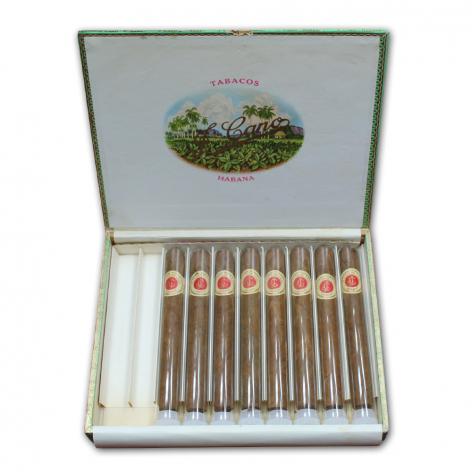 Lot 59 - La Flor de Cano Cristales