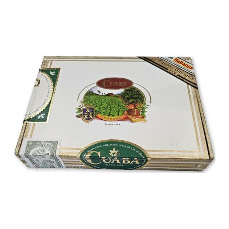 Lot 609 - Cuaba Piramides