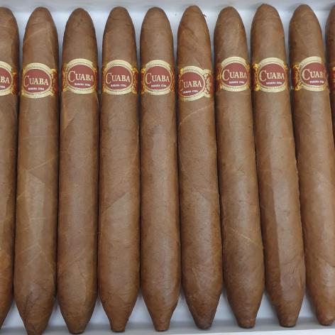 Lot 61 - Cuaba Salomones