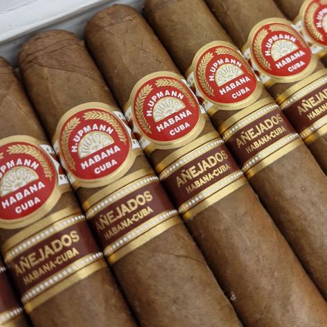 Lot 62 - H. Upmann Robustos anejados