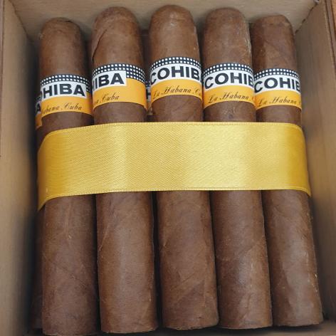 Lot 6 - Cohiba Robusto