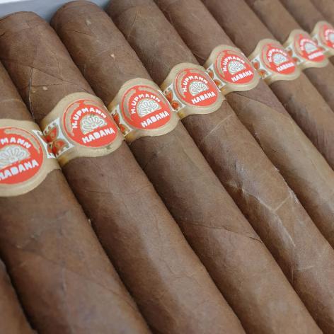 Lot 70 - H. Upmann Monarchs