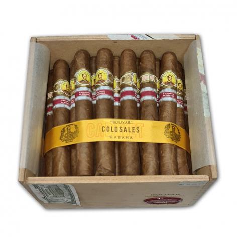 Lot 717 - Bolivar Colosales