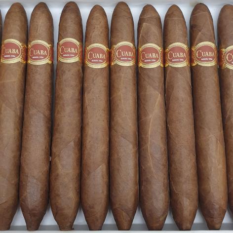 Lot 71 - Cuaba Salomones