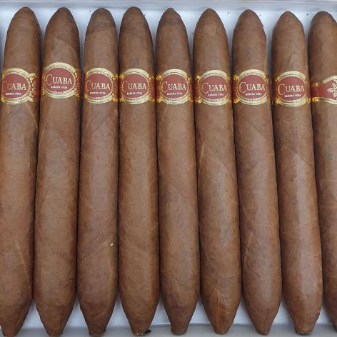 Lot 72 - Cuaba Salomones