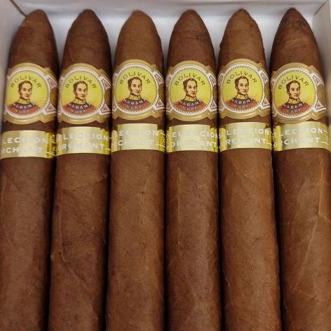 Lot 75 - Bolivar Belicosos Finos