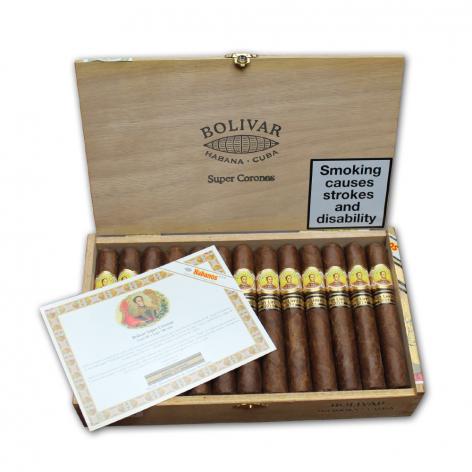 Lot 81 - Bolivar Super Coronas