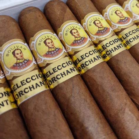 Lot 81 - Bolivar Royal coronas