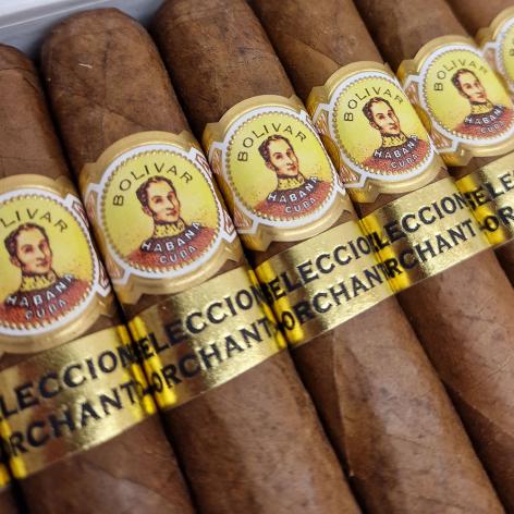 Lot 82 - Bolivar Royal coronas