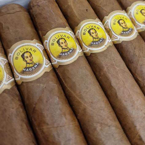 Lot 83 - Bolivar Royal coronas