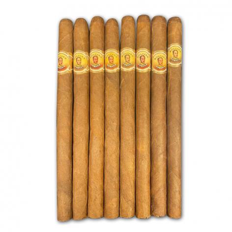 Lot 8 - Bolivar Palmas