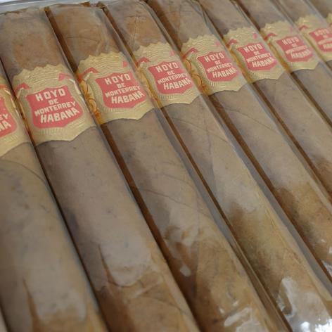Lot 8 - Hoyo de Monterrey Palmas Extra