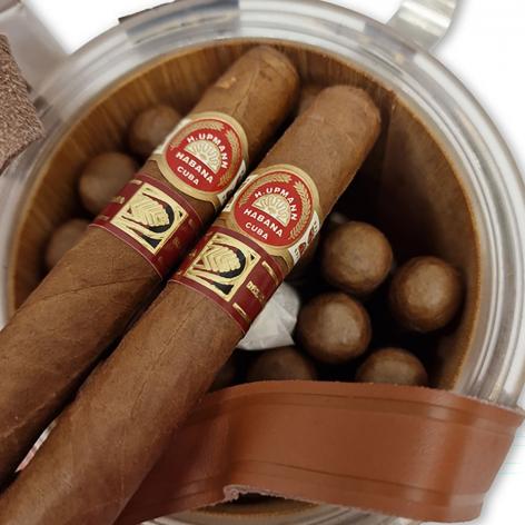 Lot 8 - H. Upmann Noellas