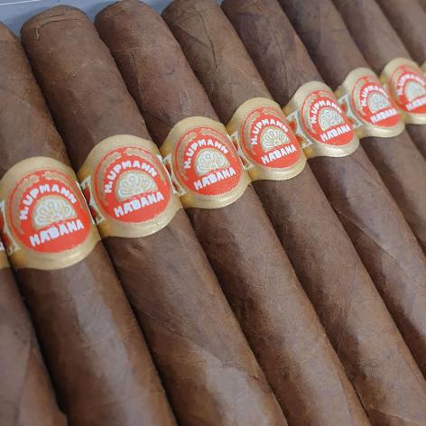 Lot 91 - H. Upmann Majestics 