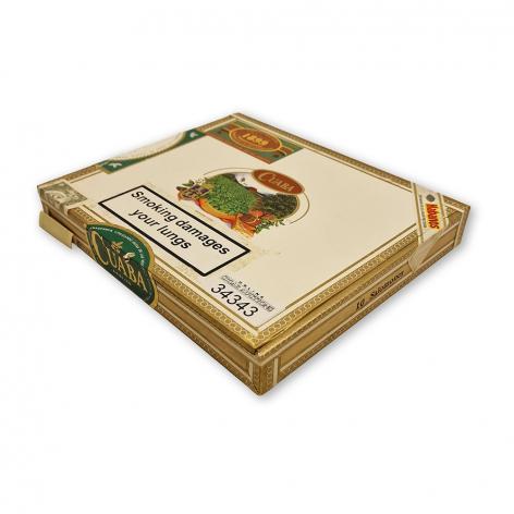 Lot 92 - Cuaba Salomones