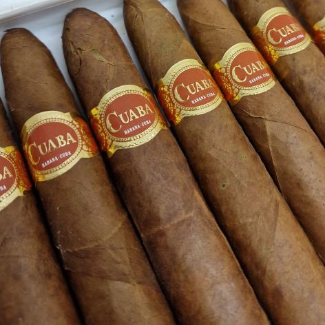 Lot 92 - Cuaba Salomones